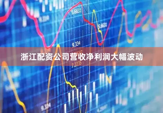 浙江配资公司　　营收净利润大幅波动