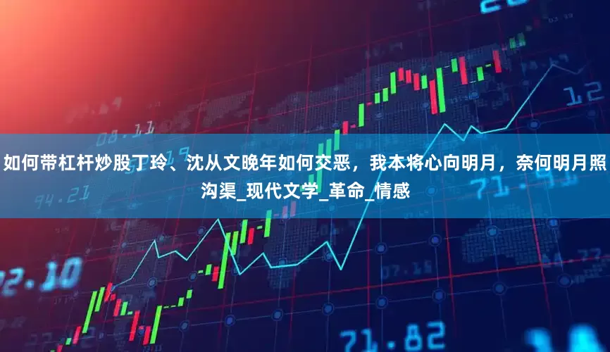 如何带杠杆炒股丁玲、沈从文晚年如何交恶，我本将心向明月，奈何明月照沟渠_现代文学_革命_情感