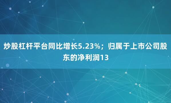 炒股杠杆平台同比增长5.23%；归属于上市公司股东的净利润13