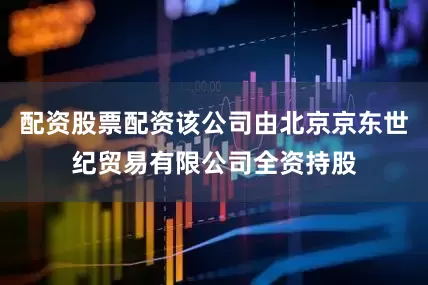 配资股票配资该公司由北京京东世纪贸易有限公司全资持股