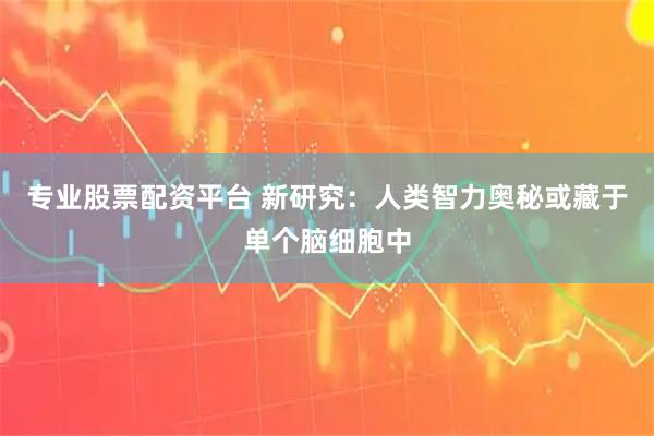 专业股票配资平台 新研究：人类智力奥秘或藏于单个脑细胞中